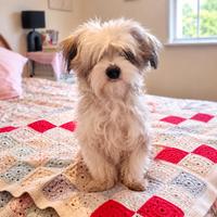 Bonny (#1399)
