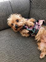 Chloe (#1391)