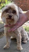 Clo, Ralphy (#1308)