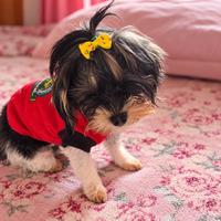 Lili (#1409)