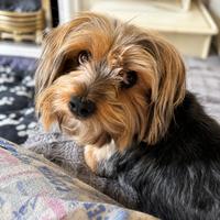 Max (#1378)