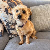 Molly (#1410)
