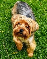 Riley (#1380)