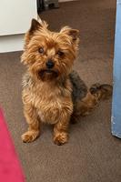 Rolo (#1395)